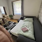 Park Kertes Haz A Park Mellett Gyoenyoeru Kilatassal Dog Friendly Garden House With A Wonderful View Next To The Park Apartment