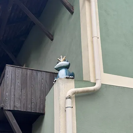 Apartment Park Kertes Haz A Park Mellett Gyoenyoeru Kilatassal Dog Friendly Garden House With A Wonderful View Next To The Park *