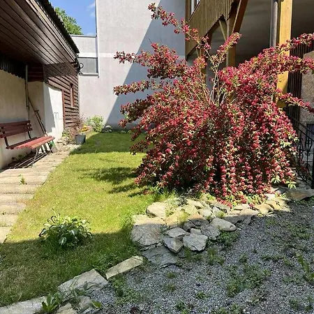 Apartment Park Apartmanhaz - Kertes Haz A Park Mellett Gyoenyoeru Kilatassal