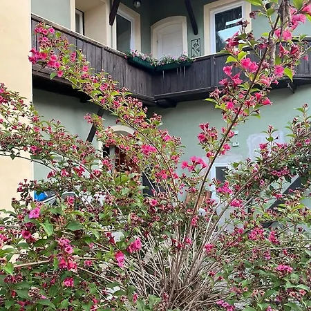 Park Kertes Haz A Park Mellett Gyoenyoeru Kilatassal Dog Friendly Garden House With A Wonderful View Next To The Park Lejlighed Murau