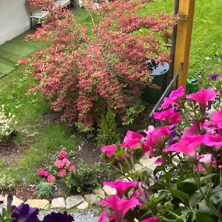 Park Kertes Haz Koezpontjaban Gyoenyoeru Kilatassal Dog Friendly Garden House With A Wonderful View In Centre Apartment