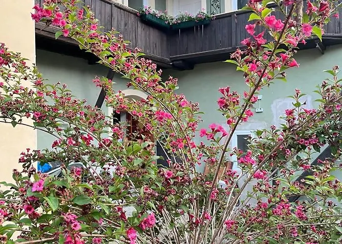 Park Kertes Haz A Park Mellett Gyoenyoeru Kilatassal Dog Friendly Garden House With A Wonderful View Next To The Park Διαμέρισμα Murau